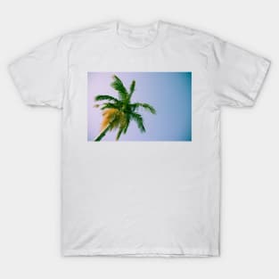 Palm frond detail against sky T-Shirt